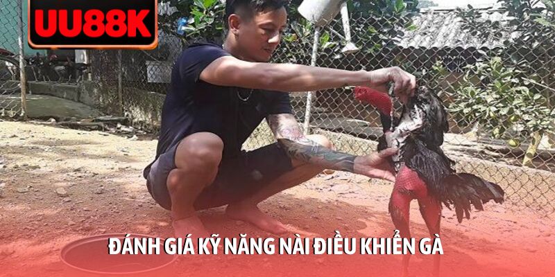 Thủ Thuật Đá Gà Thomo 2026: Kinh Nghiệm Soi Kèo Chắc Thắng Thủ Thuật Đá Gà Thomo 2026: Kinh Nghiệm Soi Kèo Chắc Thắng