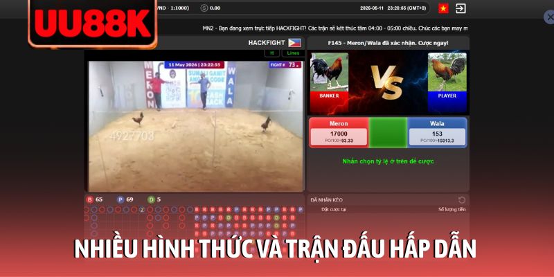 Đá Gà UU88 - Trải Nghiệm Đấu Trường Rực Lửa Ngay Tại Nhà Đá Gà UU88 - Trải Nghiệm Đấu Trường Rực Lửa Ngay Tại Nhà