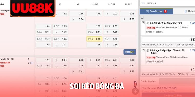 Tin tức UU88 • UU88